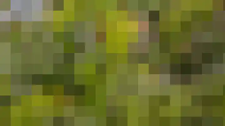 Heezerenbosch 8 Heeze thumbnail 5