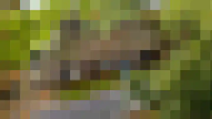 Heezerenbosch 8 Heeze thumbnail 6