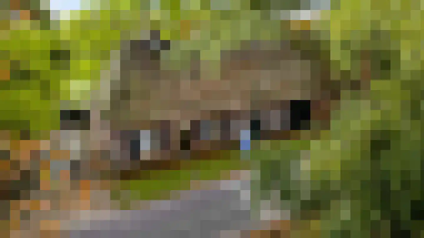 Heezerenbosch 8 Heeze thumbnail 6