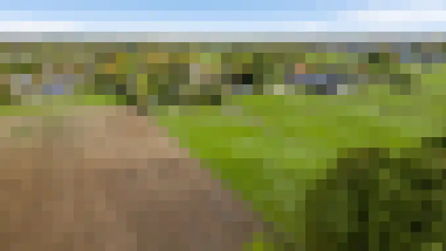 Heezerenbosch 8 Heeze thumbnail 7