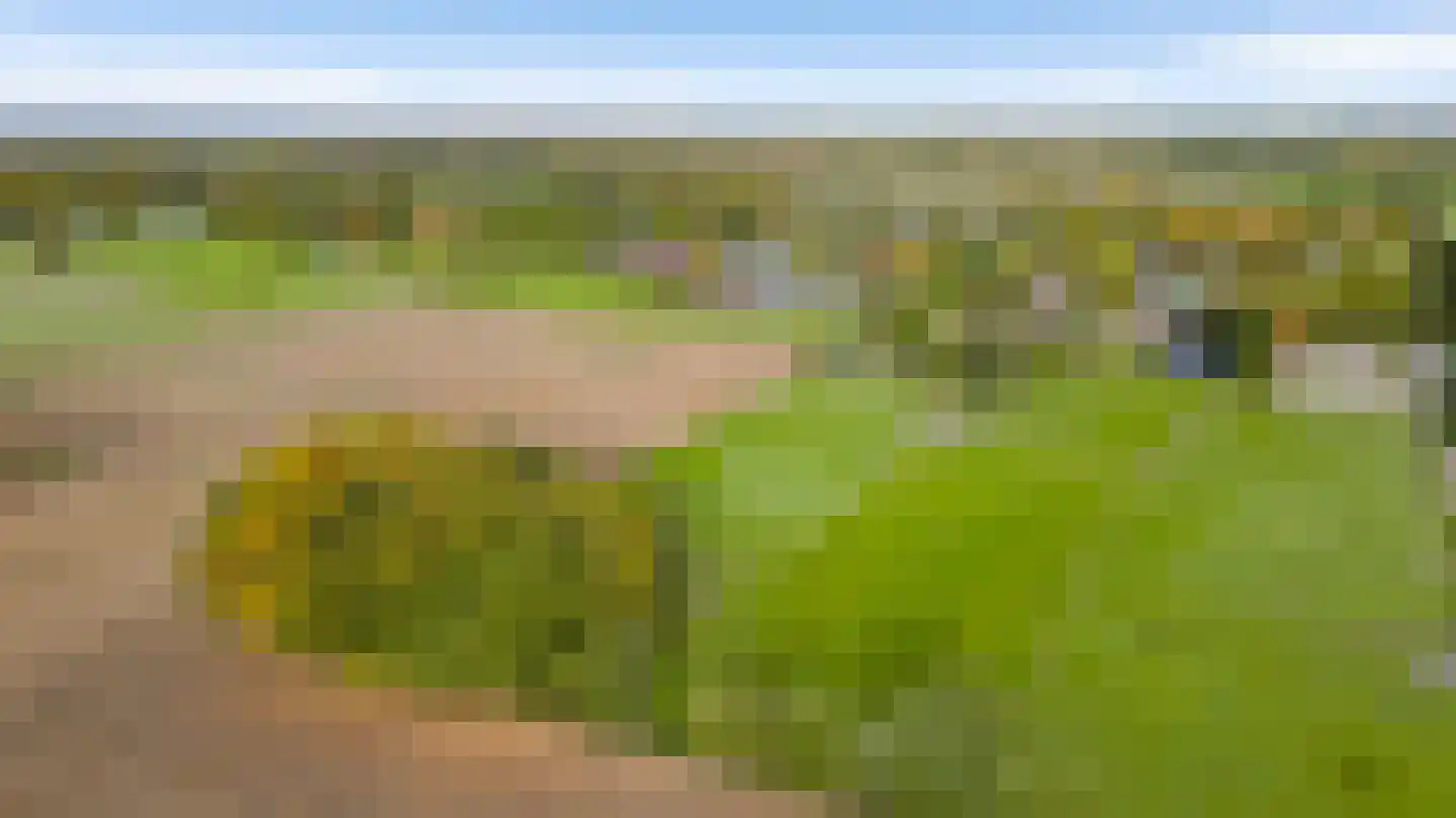 Heezerenbosch 8 Heeze thumbnail 8