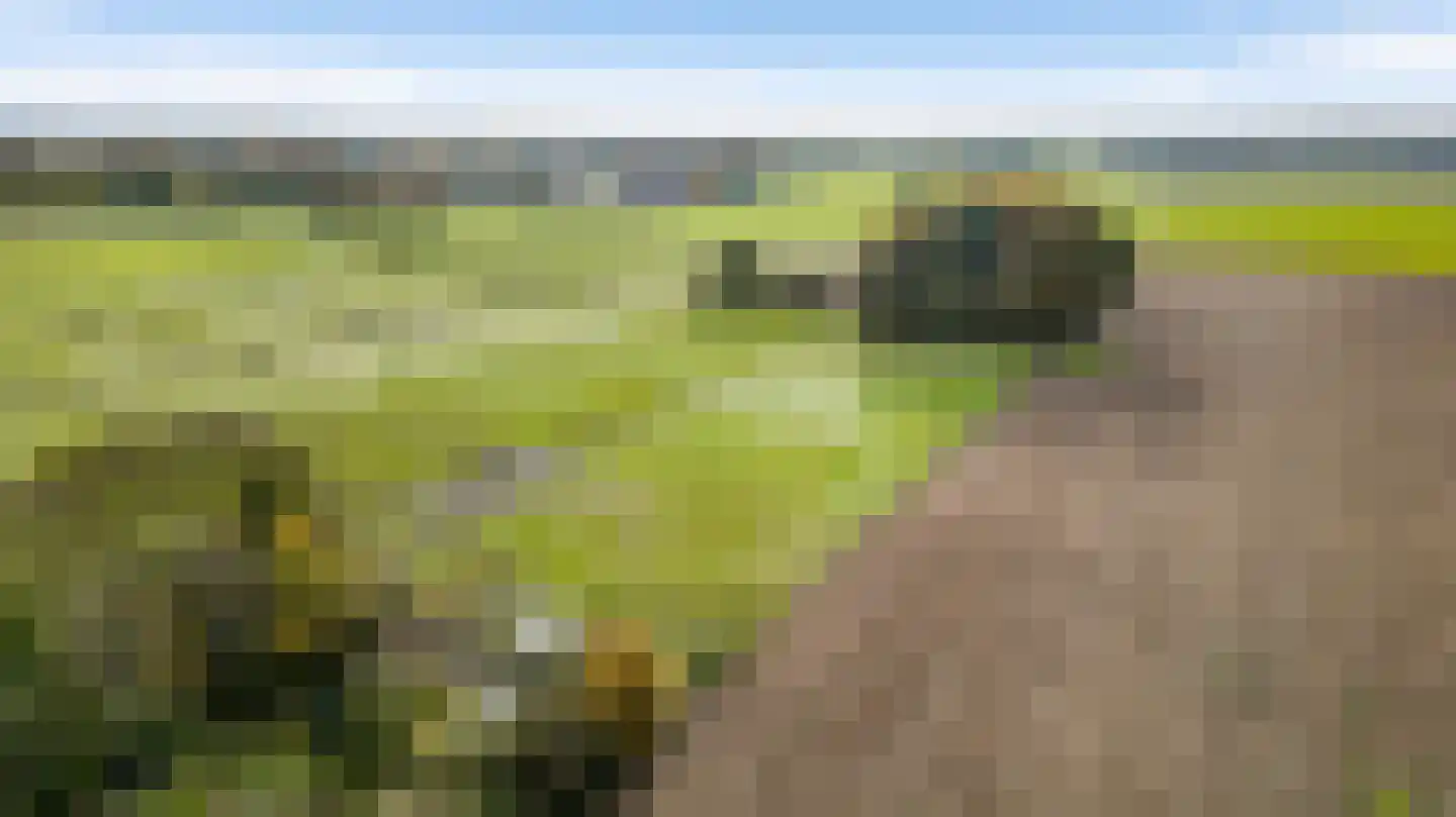 Heezerenbosch 8 Heeze thumbnail 9