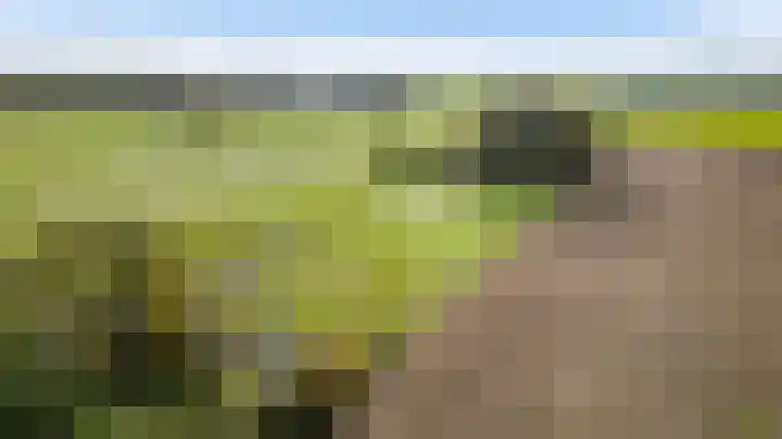 Heezerenbosch 8 Heeze thumbnail 9