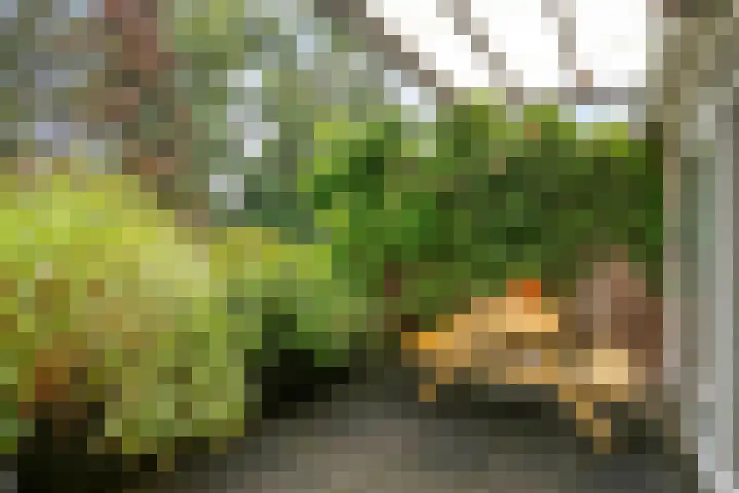 Heezerweg 115 Eindhoven thumbnail 17