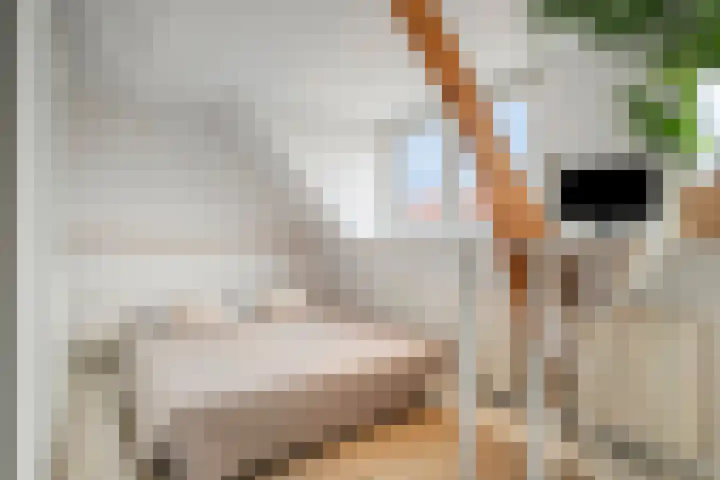 Heezerweg 115 Eindhoven thumbnail 21