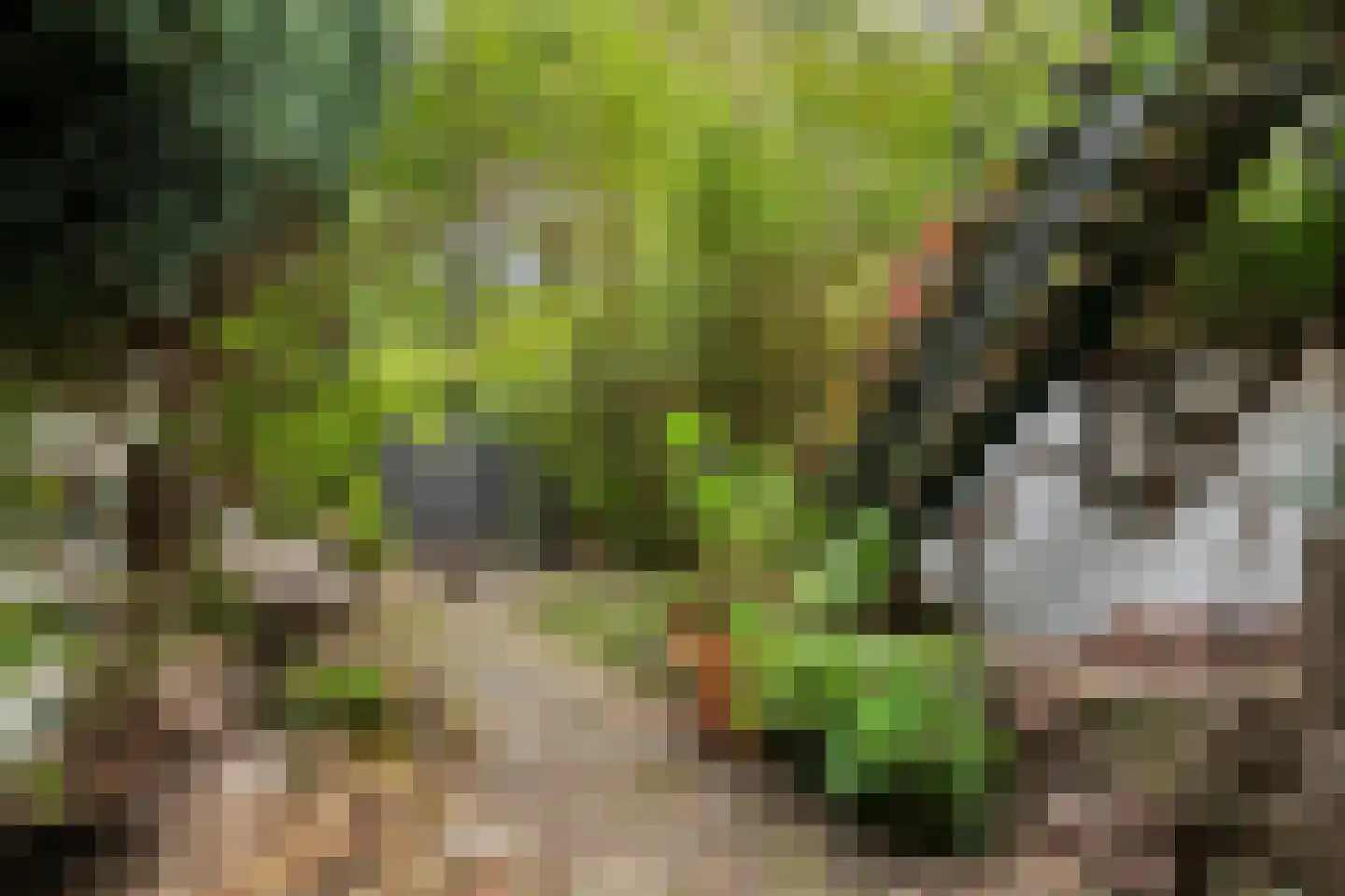 Heezerweg 115 Eindhoven thumbnail 26