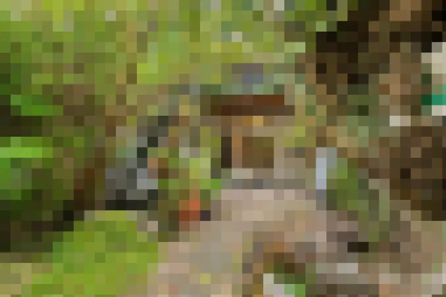 Heezerweg 115 Eindhoven thumbnail 28
