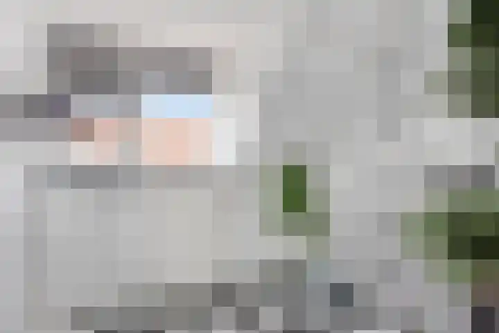 Heezerweg 131 Eindhoven thumbnail 26