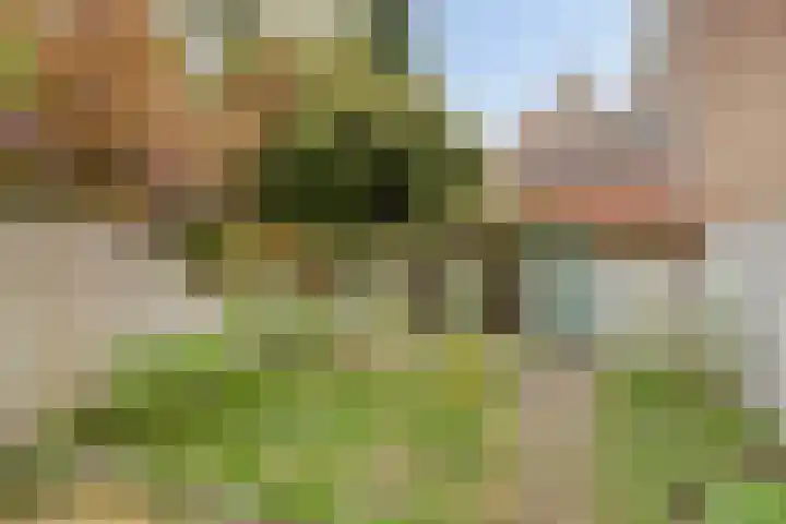 Heezerweg 131 Eindhoven thumbnail 27