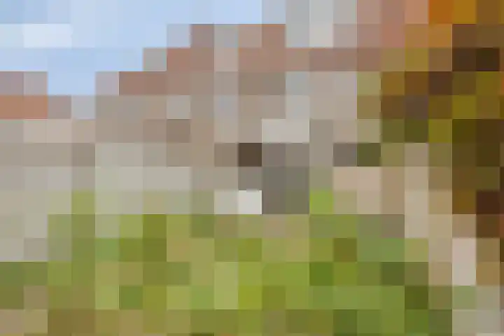 Heezerweg 131 Eindhoven thumbnail 28