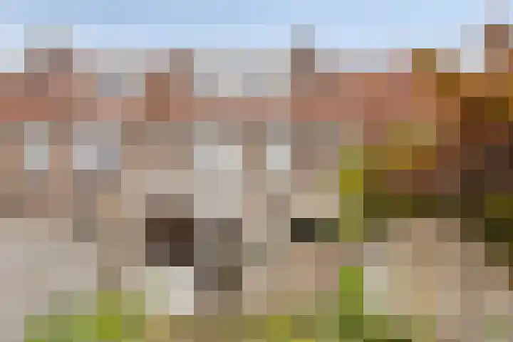 Heezerweg 131 Eindhoven thumbnail 30