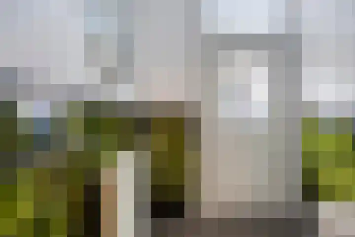 Heezerweg 131 Eindhoven thumbnail 4