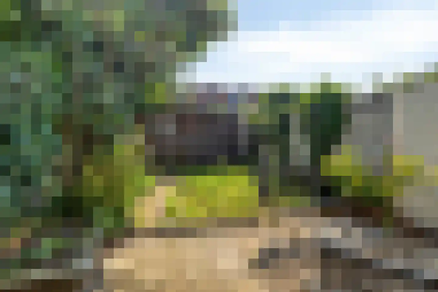 Heezerweg 134 Eindhoven thumbnail 30