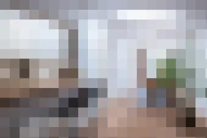 Heezerweg 148 Eindhoven thumbnail 13