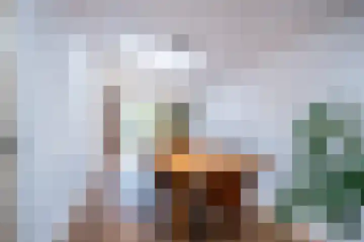 Heezerweg 148 Eindhoven thumbnail 15