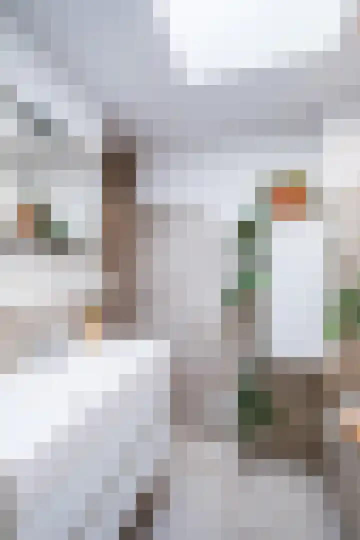 Heezerweg 148 Eindhoven thumbnail 22