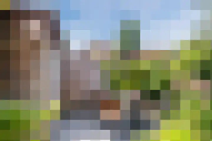 Heezerweg 148 Eindhoven thumbnail 26