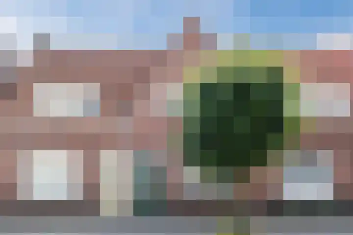 Heezerweg 148 Eindhoven thumbnail 39