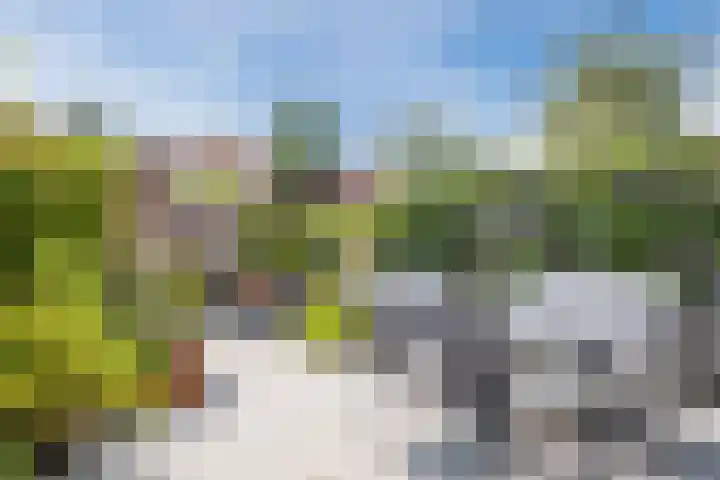 Heezerweg 148 Eindhoven thumbnail 4