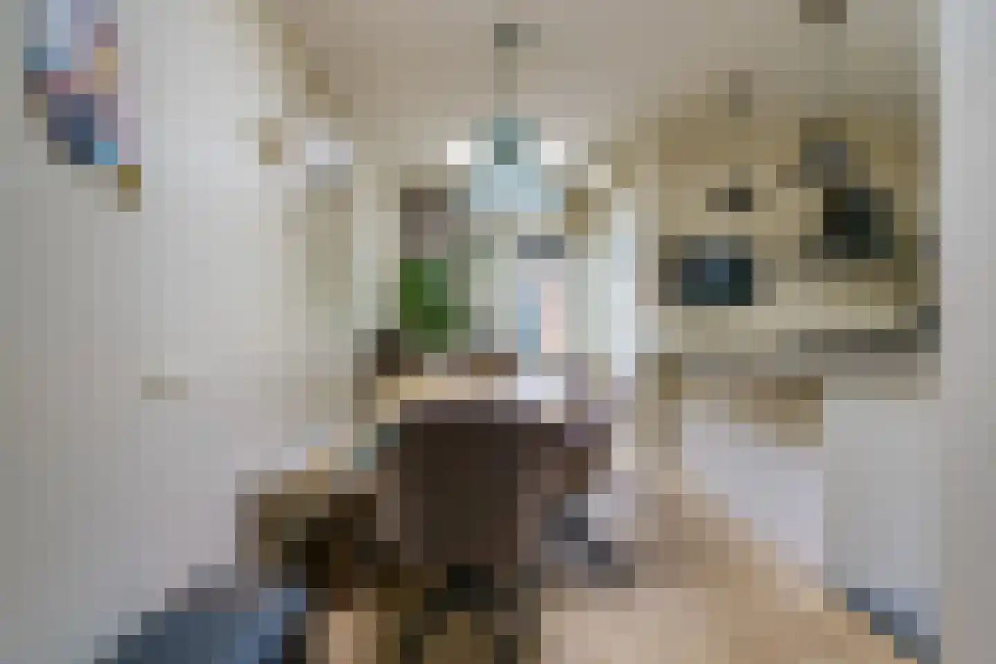 Heezerweg 154 Eindhoven thumbnail 11