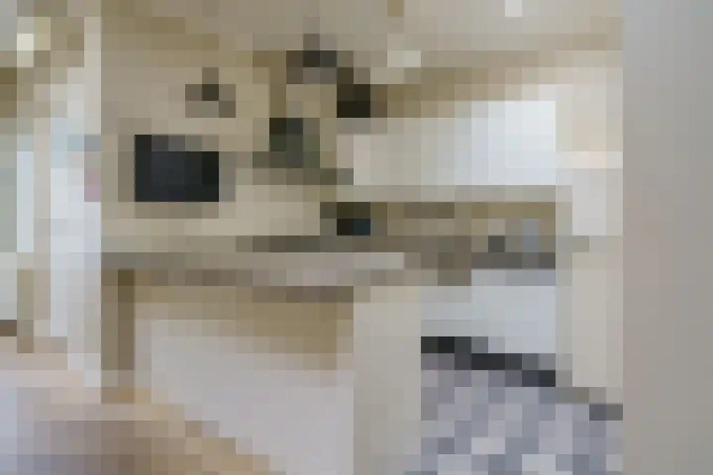 Heezerweg 154 Eindhoven thumbnail 12