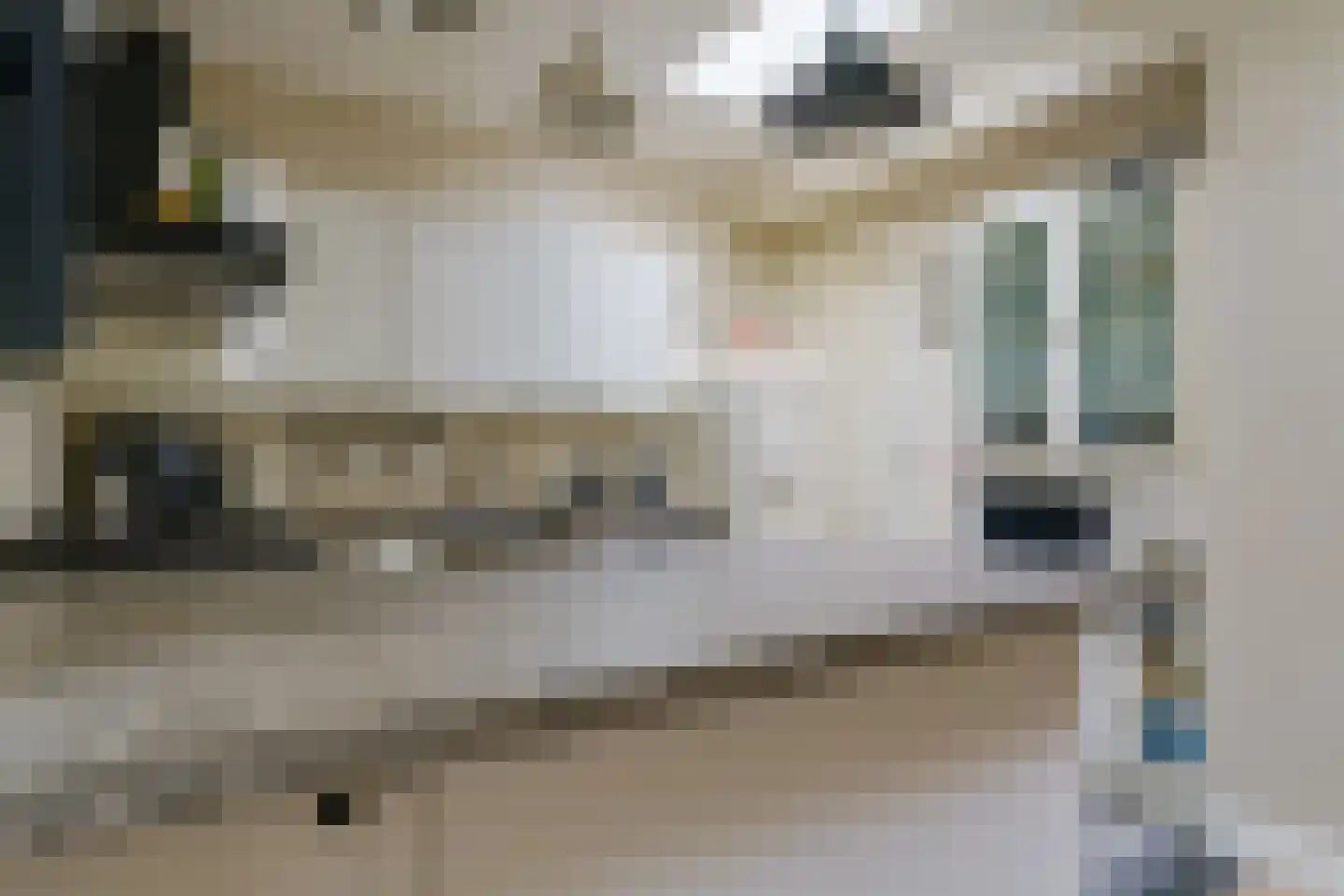Heezerweg 154 Eindhoven thumbnail 13