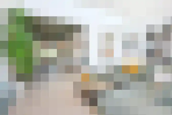 Heezerweg 207 Eindhoven thumbnail 12