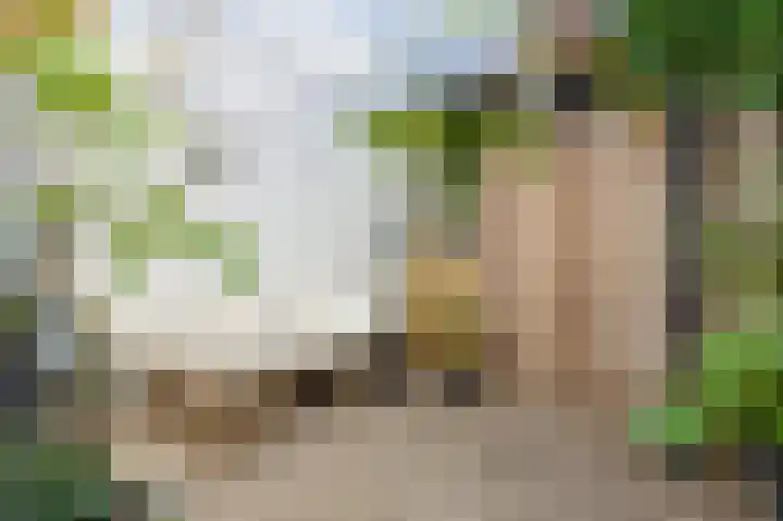 Heezerweg 207 Eindhoven thumbnail 25