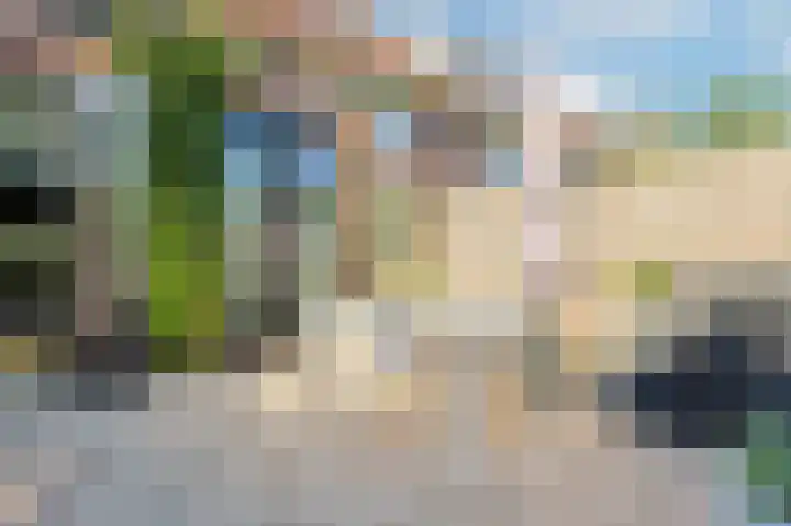 Heezerweg 207 Eindhoven thumbnail 28