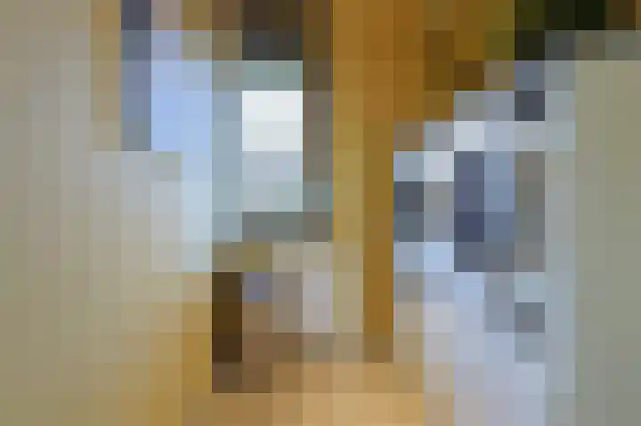 Heezerweg 207 Eindhoven thumbnail 32