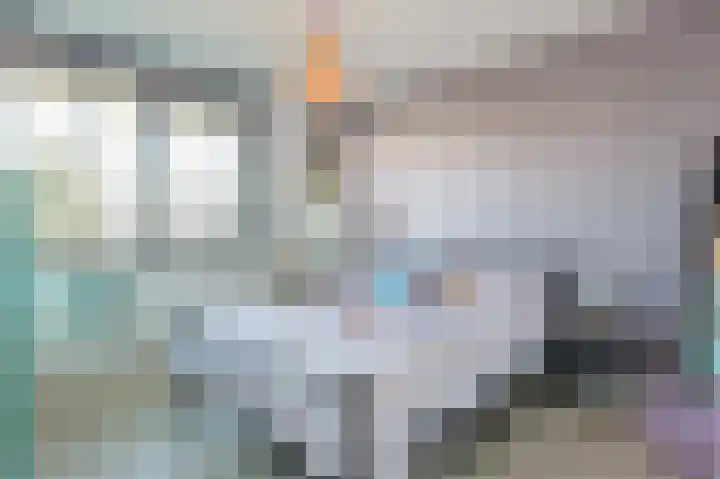 Heezerweg 207 Eindhoven thumbnail 34