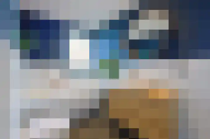Heezerweg 207 Eindhoven thumbnail 40