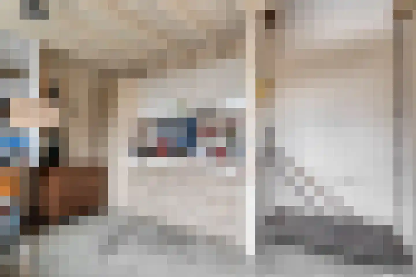 Heezerweg 236 Eindhoven thumbnail 36