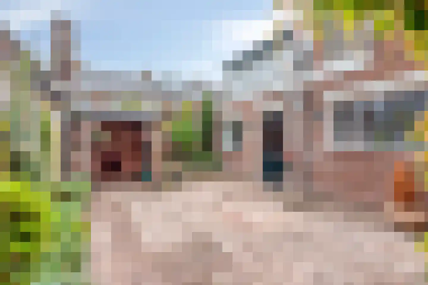 Heezerweg 236 Eindhoven thumbnail 42