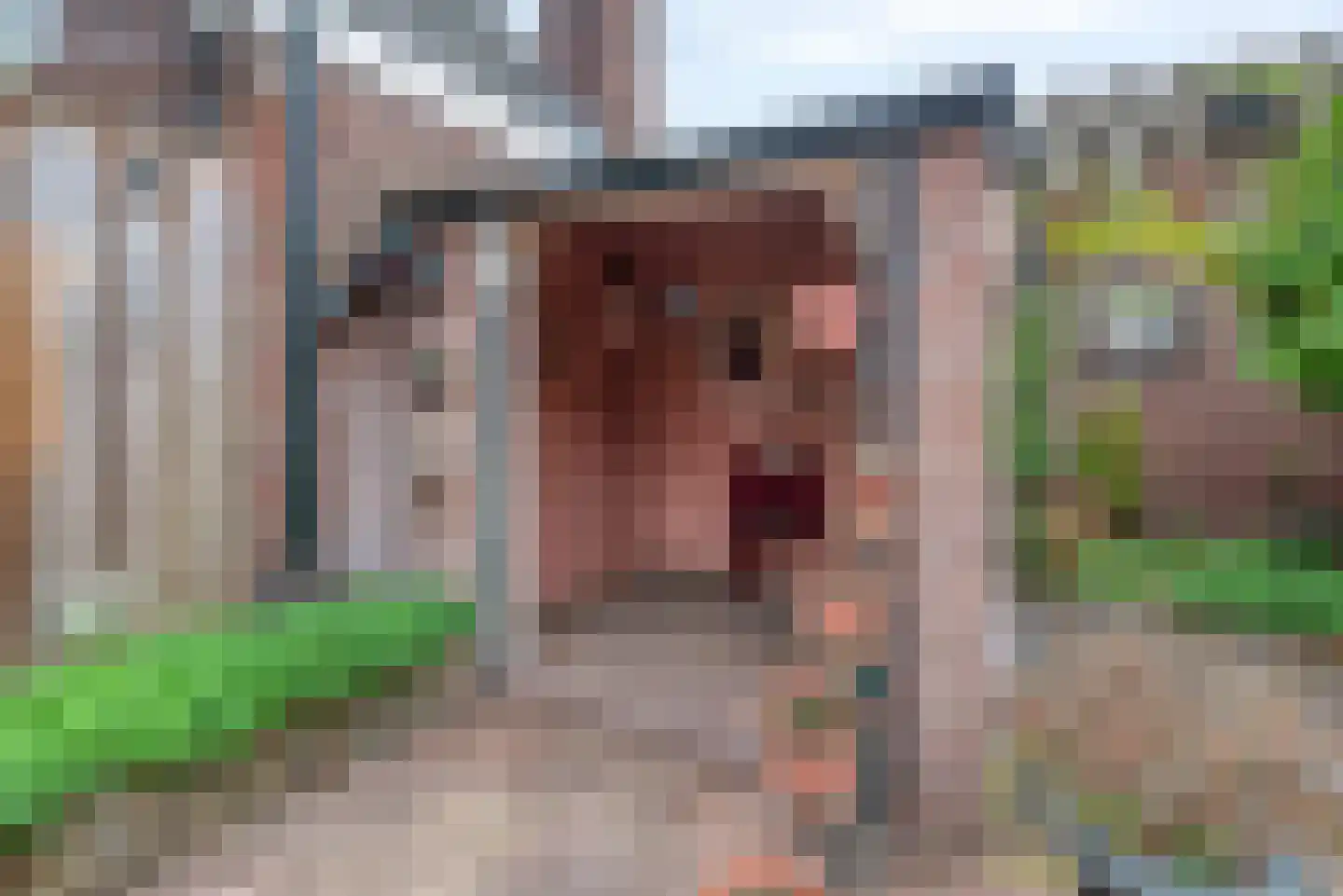 Heezerweg 236 Eindhoven thumbnail 43