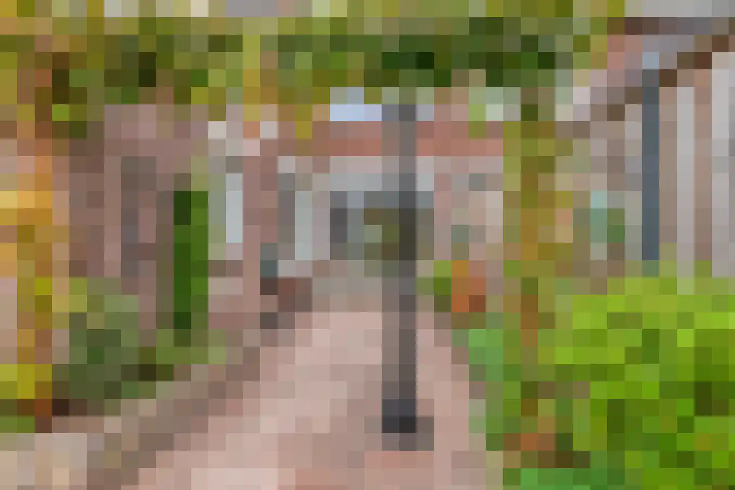 Heezerweg 236 Eindhoven thumbnail 44
