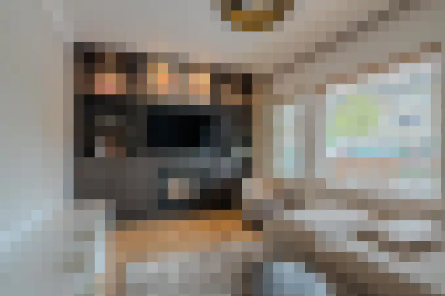 Heezerweg 237 Eindhoven thumbnail 11