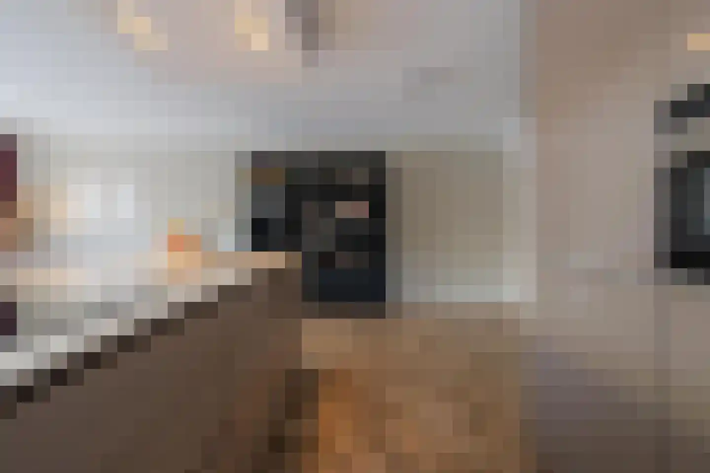 Heezerweg 237 Eindhoven thumbnail 17