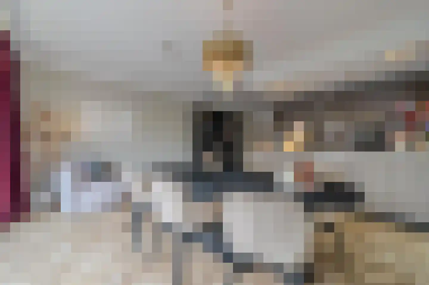 Heezerweg 237 Eindhoven thumbnail 24