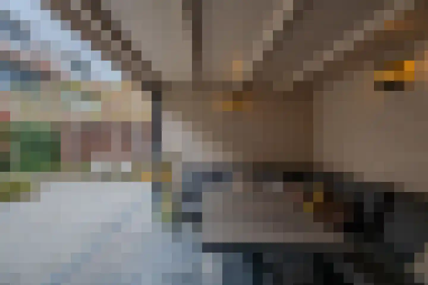 Heezerweg 237 Eindhoven thumbnail 30