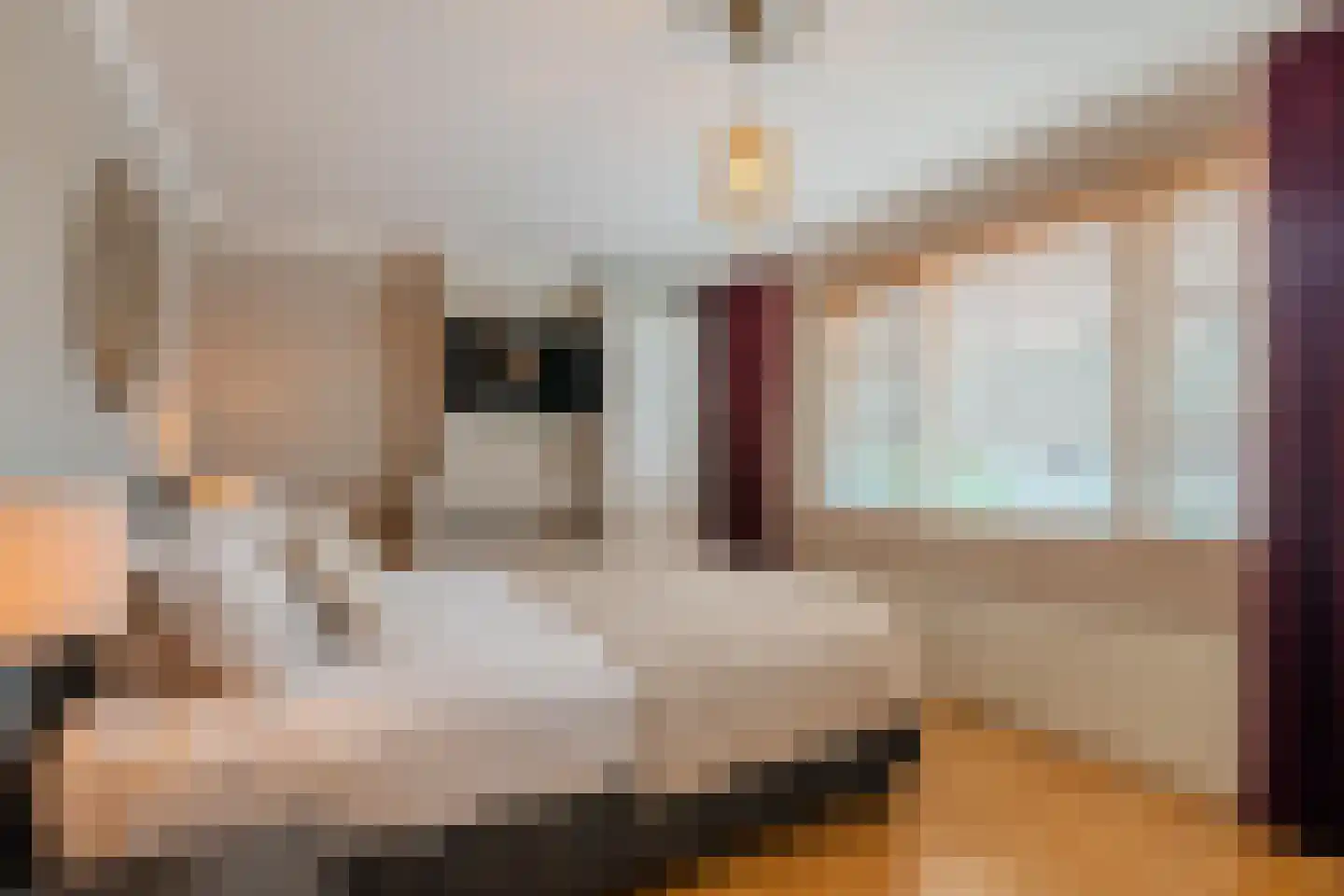 Heezerweg 237 Eindhoven thumbnail 37