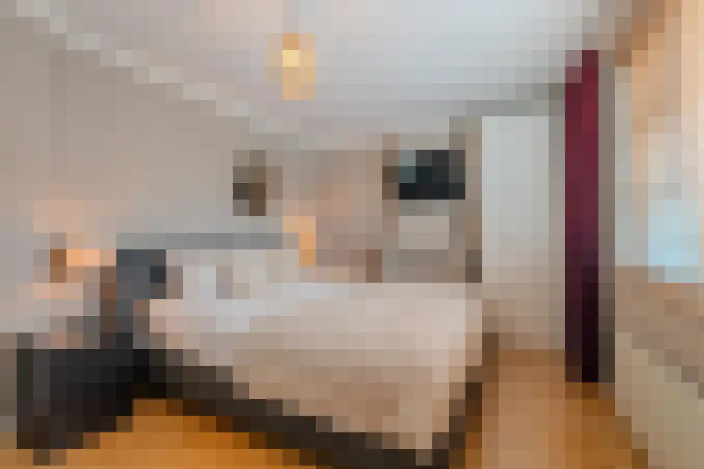 Heezerweg 237 Eindhoven thumbnail 38
