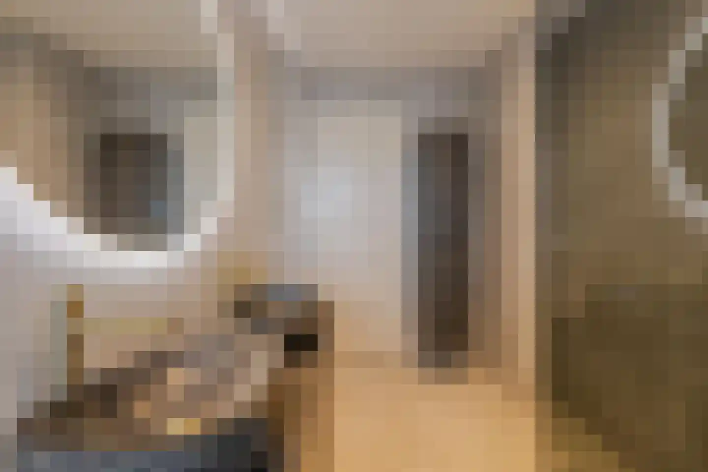 Heezerweg 237 Eindhoven thumbnail 42