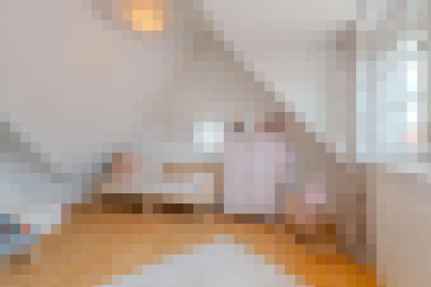 Heezerweg 237 Eindhoven thumbnail 47