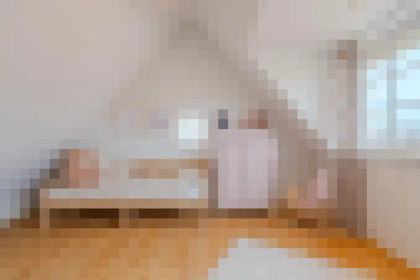 Heezerweg 237 Eindhoven thumbnail 49