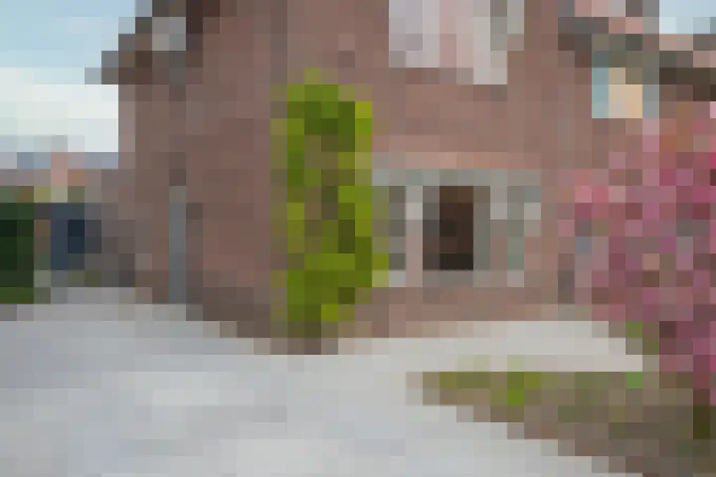 Heezerweg 237 Eindhoven thumbnail 6