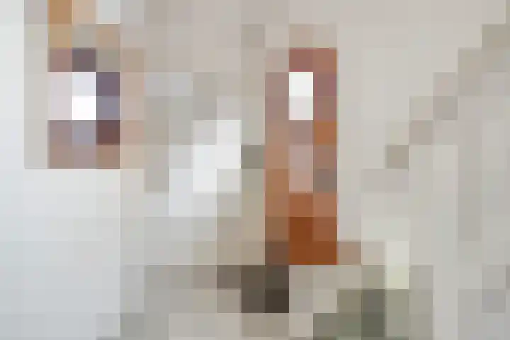 Heezerweg 242 Eindhoven thumbnail 11