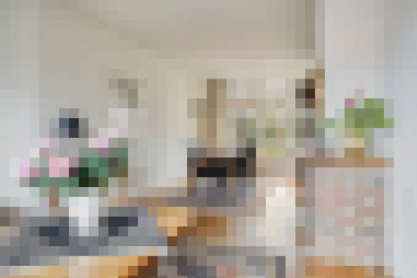 Heezerweg 242 Eindhoven thumbnail 14