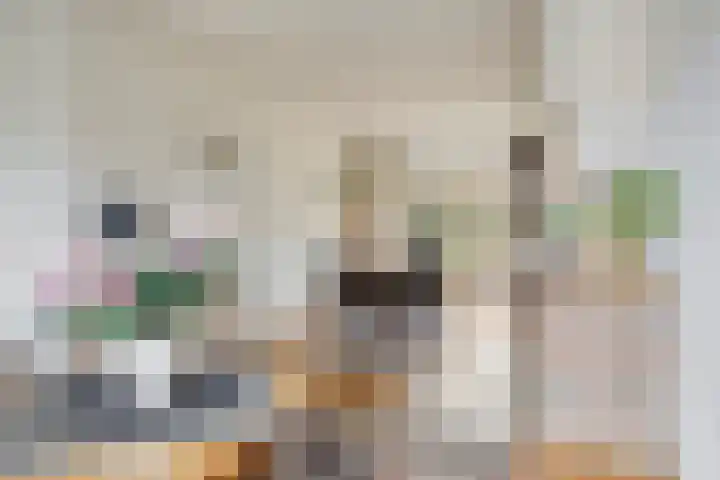 Heezerweg 242 Eindhoven thumbnail 14