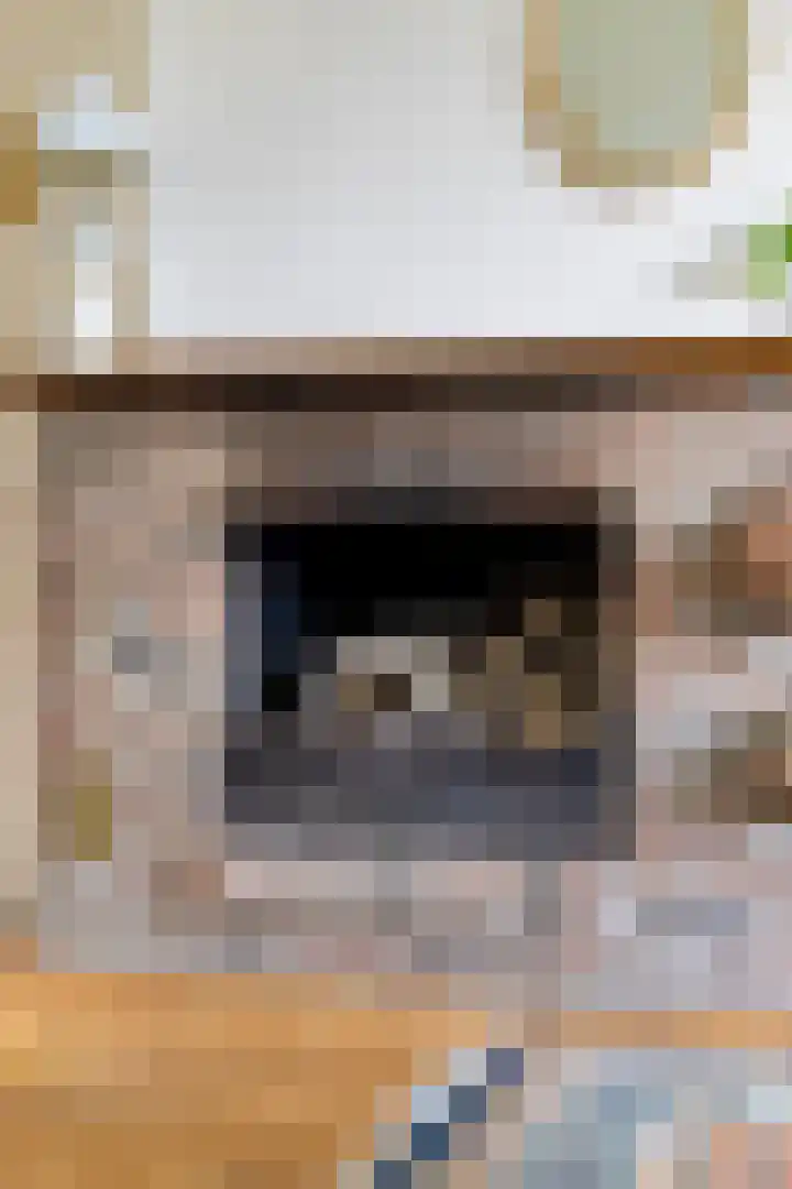 Heezerweg 242 Eindhoven thumbnail 16